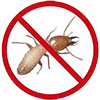 bond pest control